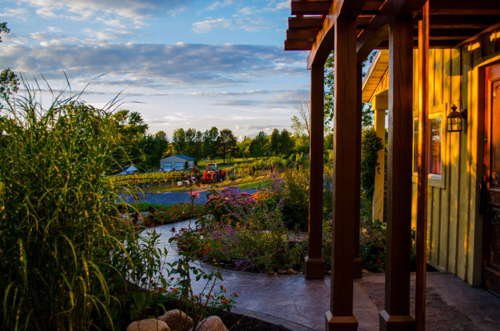 view from the tasting room