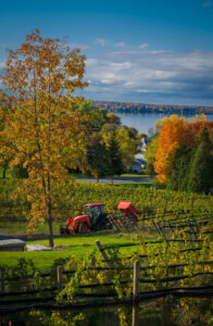 fall colors with tractor
